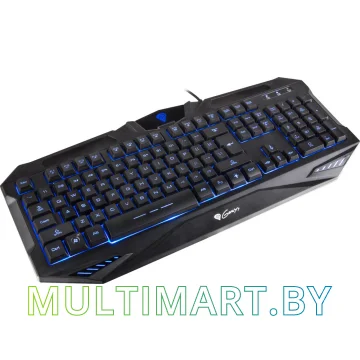 Клавиатура игровая Genesis RX39 (NKG-0849) картинка 5